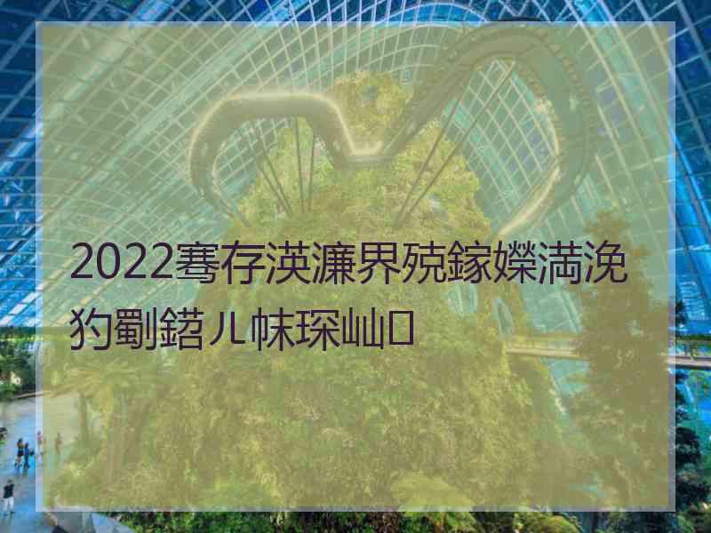 2022骞存渶濂界殑鎵嬫満浼犳劅鍣ㄦ帓琛屾