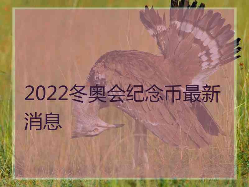 2022冬奥会纪念币最新消息