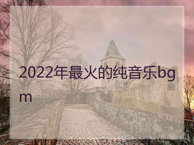 2022年最火的纯音乐bgm