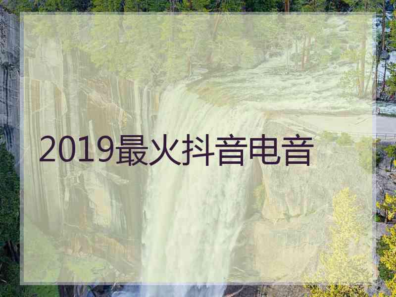 2019最火抖音电音