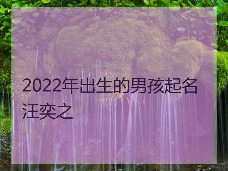 2022年出生的男孩起名汪奕之