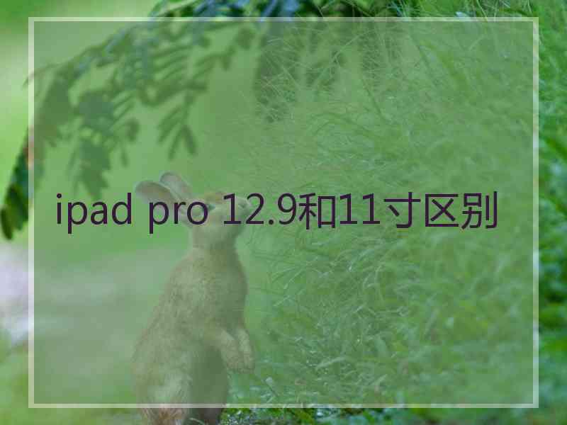 ipad pro 12.9和11寸区别