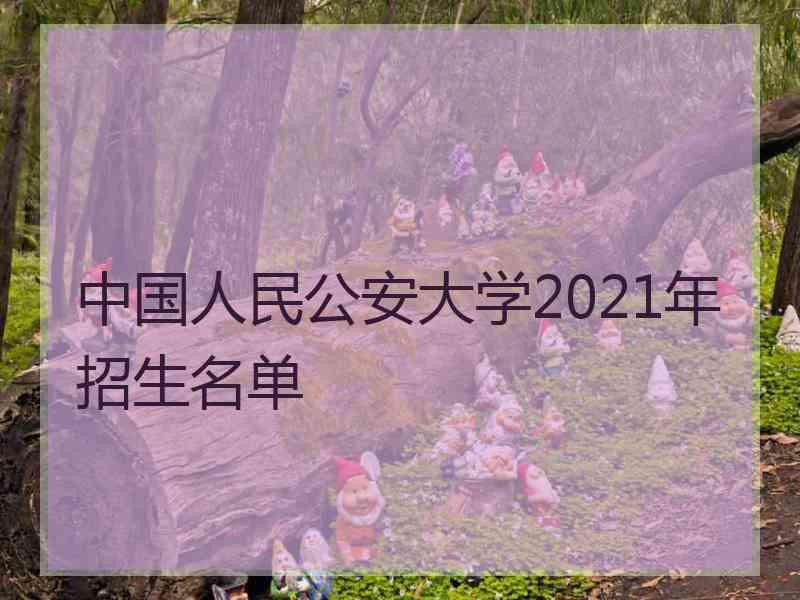 中国人民公安大学2021年招生名单