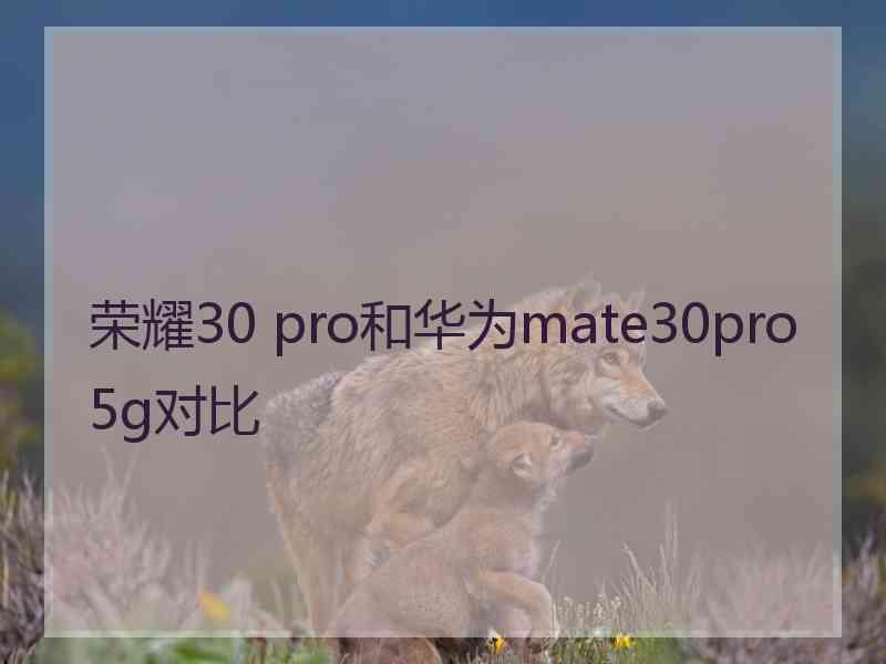 荣耀30 pro和华为mate30pro5g对比