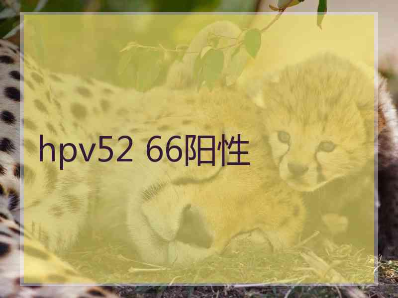 hpv52 66阳性