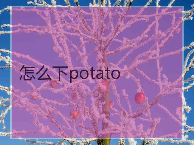 怎么下potato