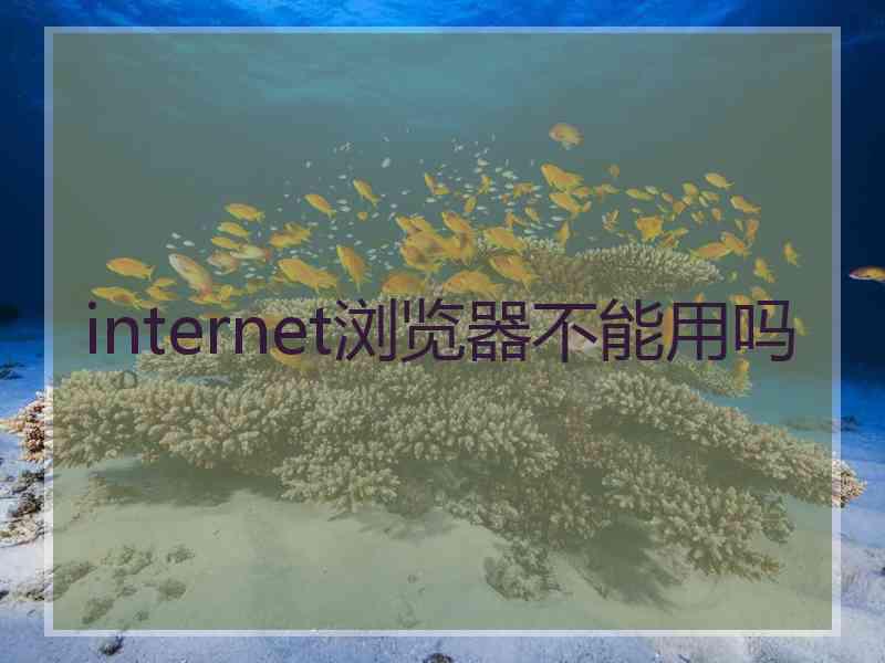 internet浏览器不能用吗