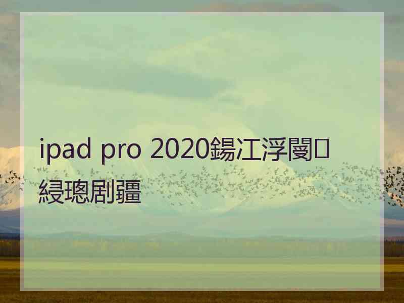 ipad pro 2020鍚冮浮閿綅璁剧疆