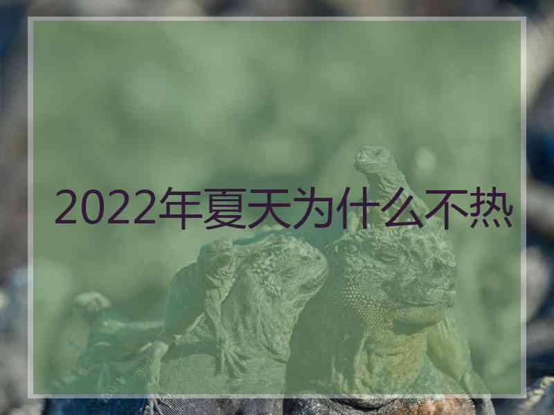 2022年夏天为什么不热