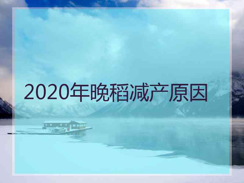 2020年晚稻减产原因