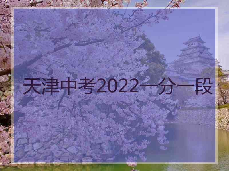 天津中考2022一分一段