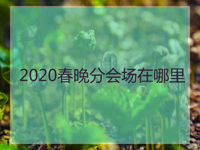 2020春晚分会场在哪里