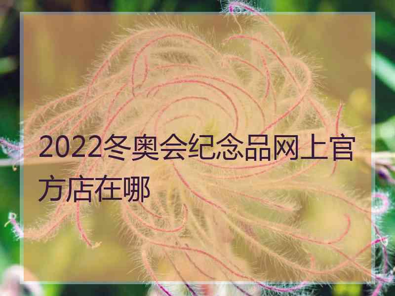 2022冬奥会纪念品网上官方店在哪