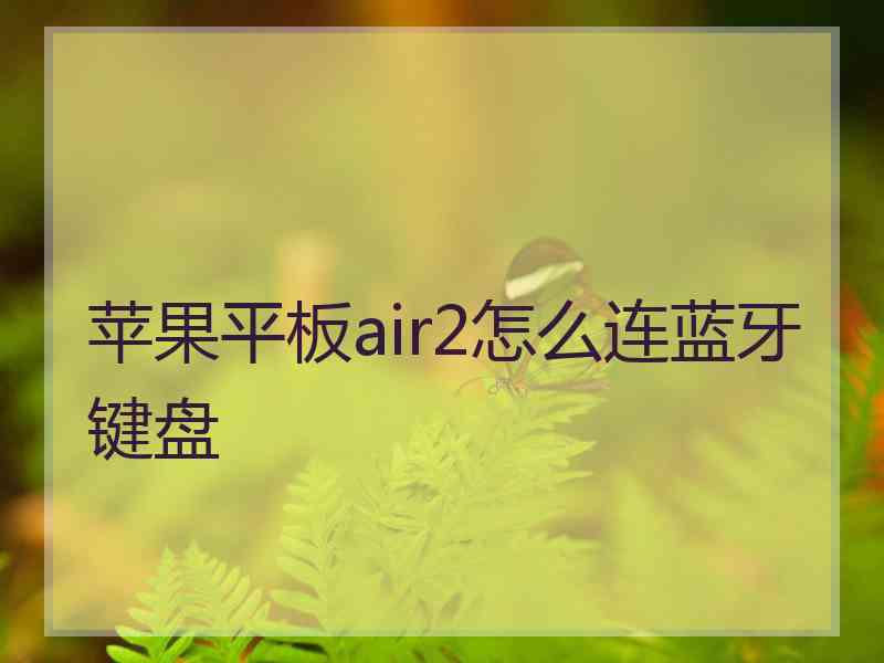 苹果平板air2怎么连蓝牙键盘