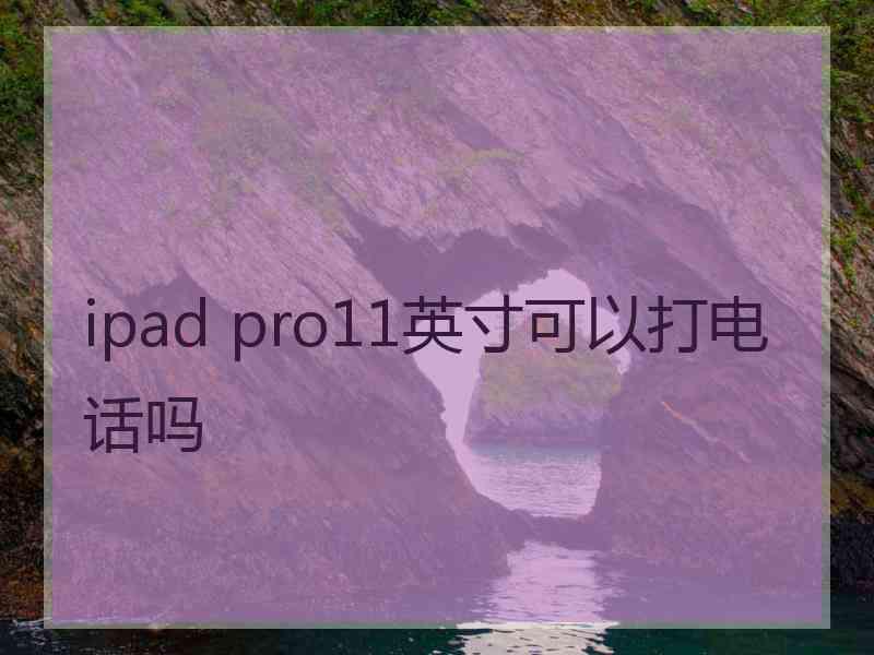 ipad pro11英寸可以打电话吗