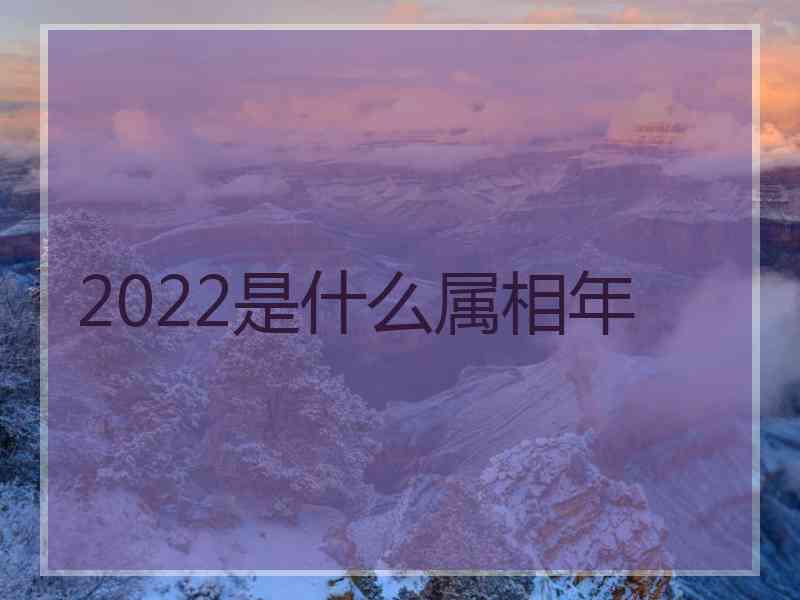 2022是什么属相年