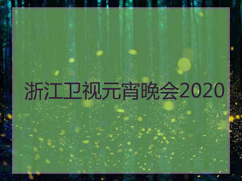 浙江卫视元宵晚会2020