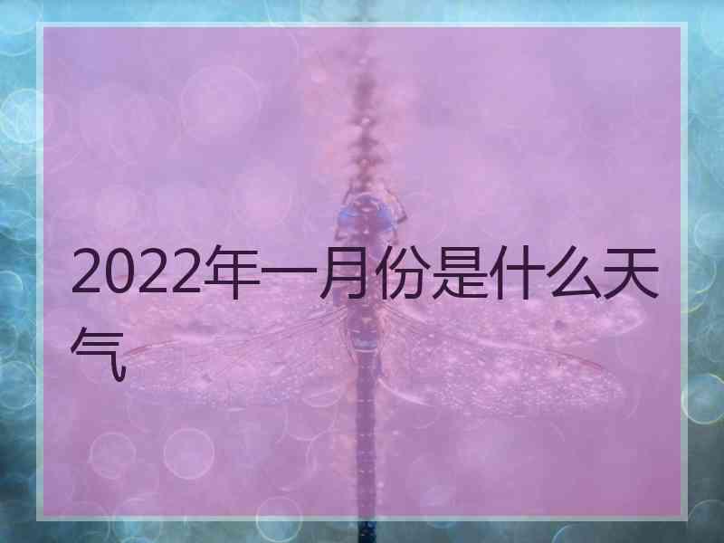 2022年一月份是什么天气