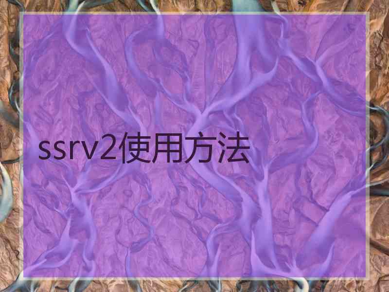 ssrv2使用方法