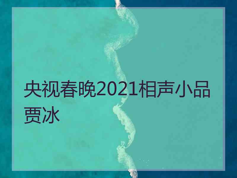 央视春晚2021相声小品贾冰