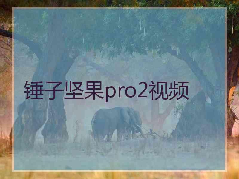 锤子坚果pro2视频