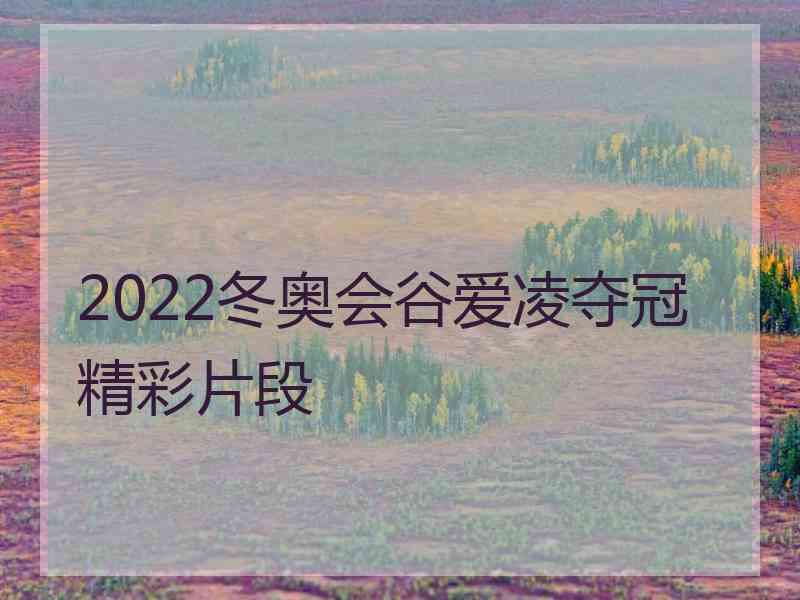 2022冬奥会谷爱凌夺冠精彩片段