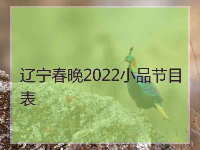 辽宁春晚2022小品节目表