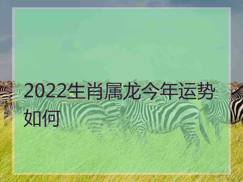 2022生肖属龙今年运势如何