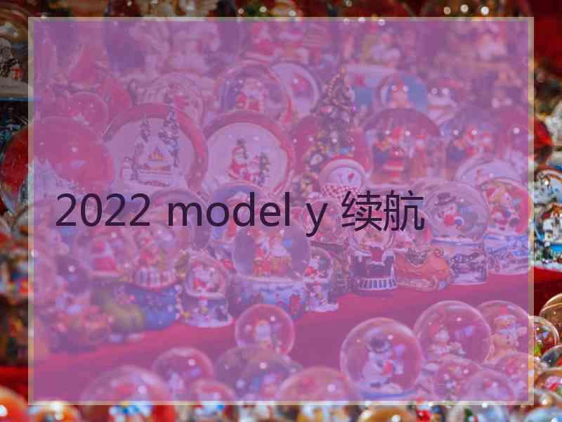 2022 model y 续航