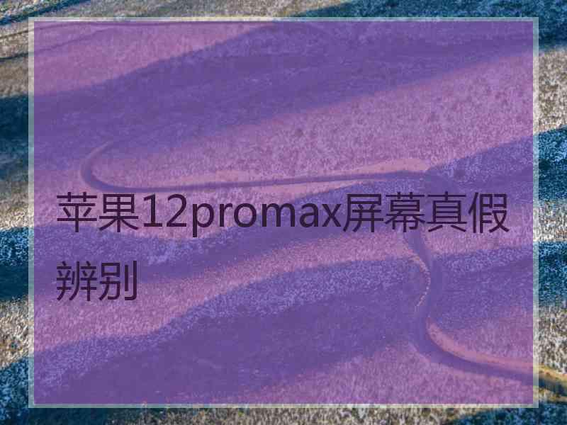 苹果12promax屏幕真假辨别