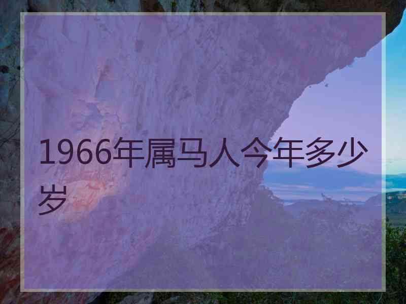 1966年属马人今年多少岁