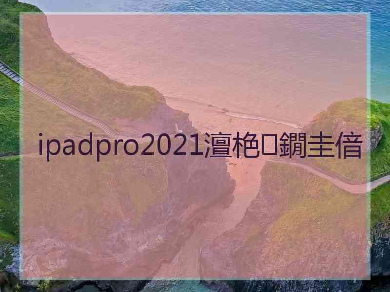 ipadpro2021澶栬鐗圭偣