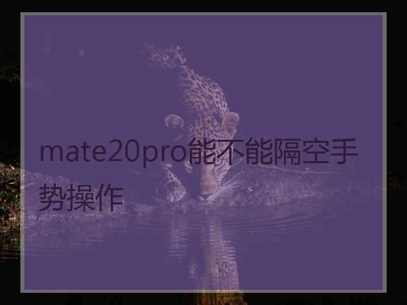 mate20pro能不能隔空手势操作