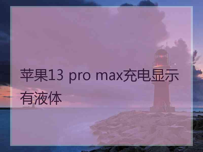 苹果13 pro max充电显示有液体