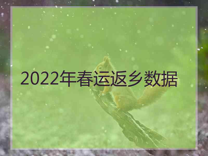 2022年春运返乡数据