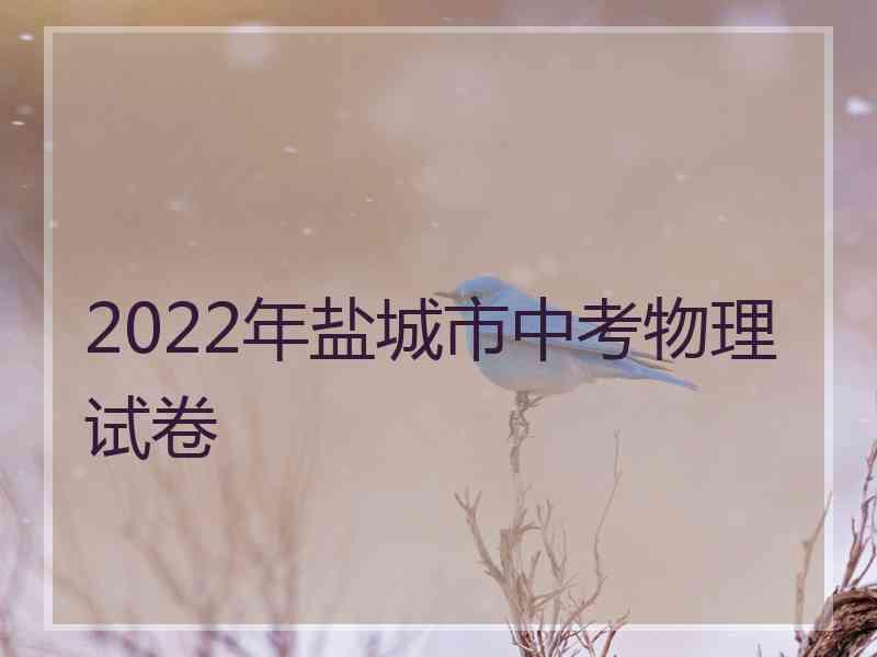 2022年盐城市中考物理试卷