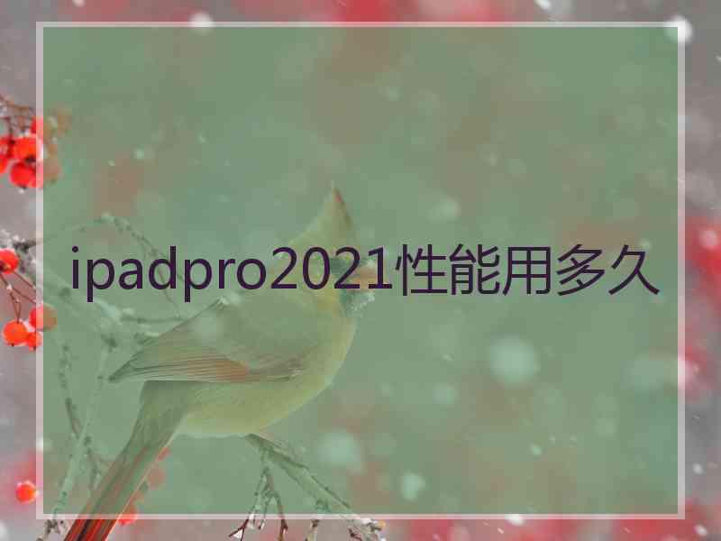 ipadpro2021性能用多久