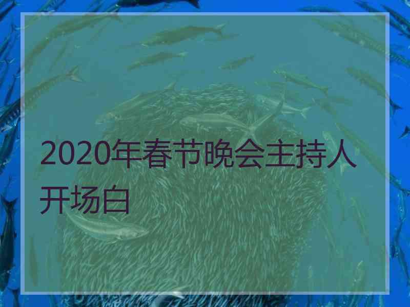 2020年春节晚会主持人开场白