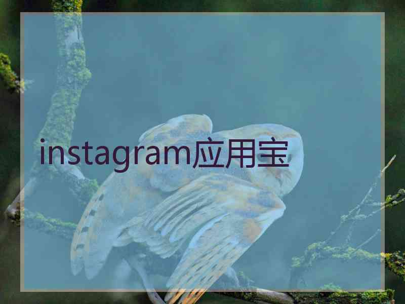 instagram应用宝