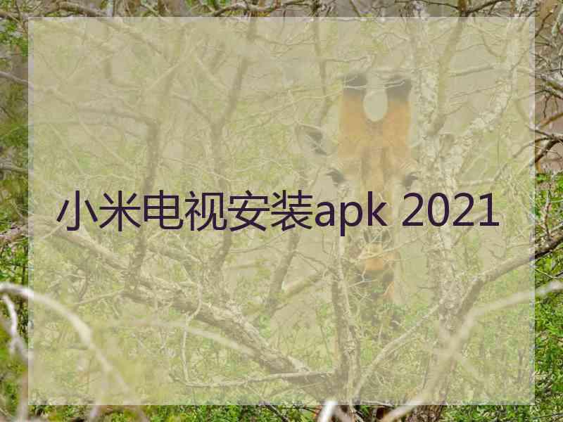 小米电视安装apk 2021