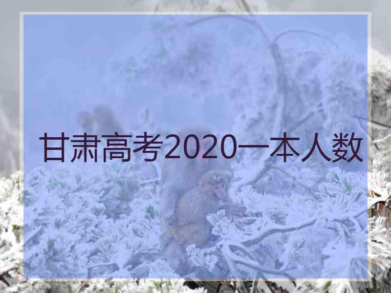 甘肃高考2020一本人数