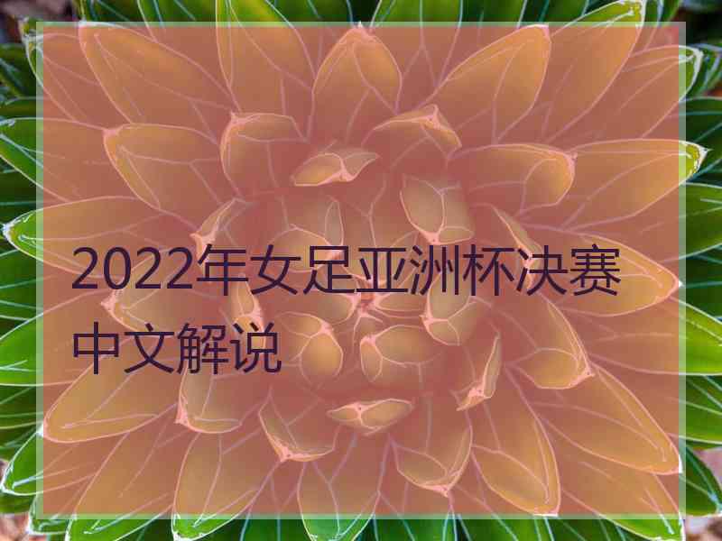 2022年女足亚洲杯决赛中文解说