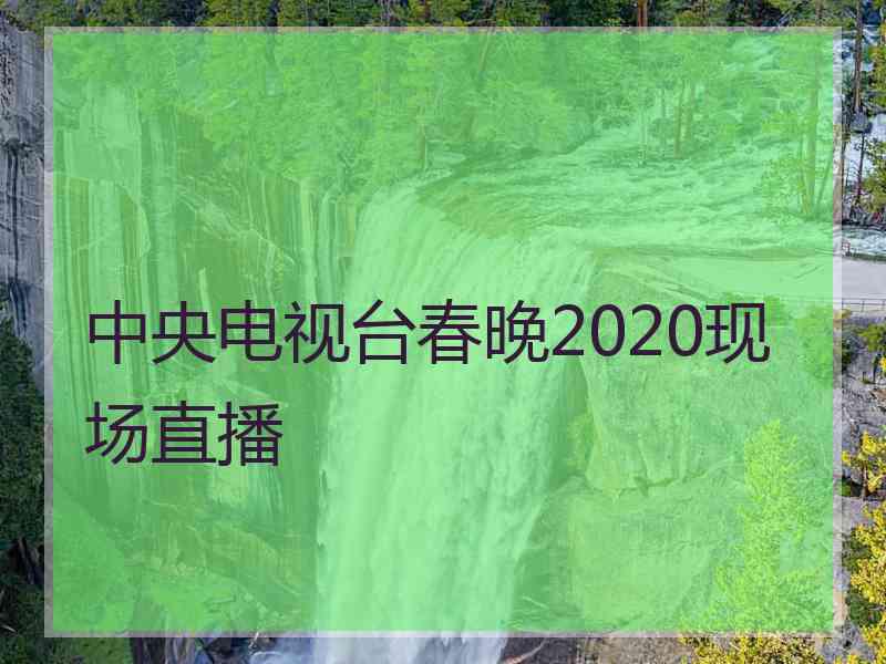 中央电视台春晚2020现场直播