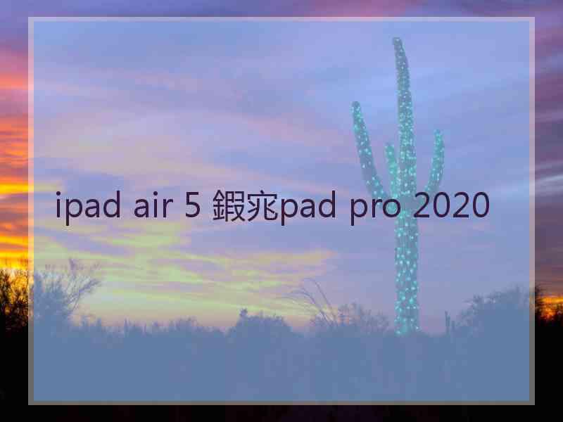 ipad air 5 鍜宨pad pro 2020