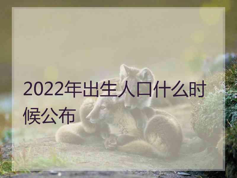 2022年出生人口什么时候公布