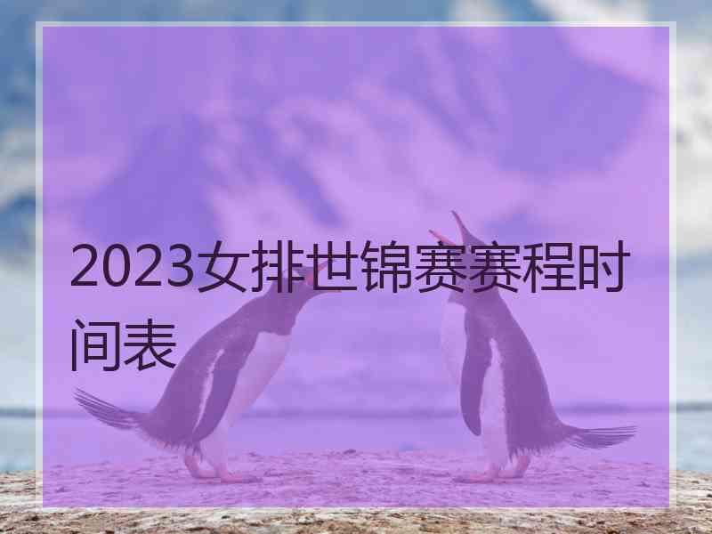 2023女排世锦赛赛程时间表