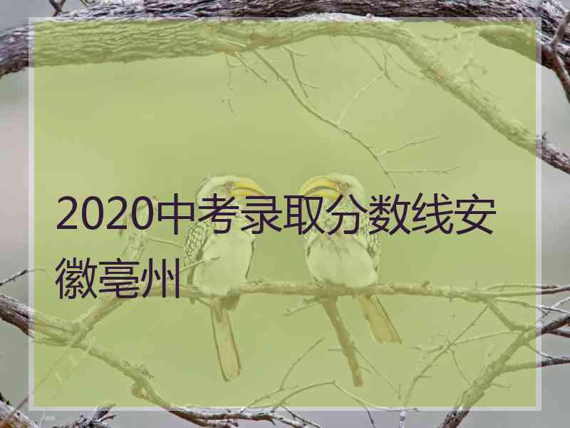 2020中考录取分数线安徽亳州