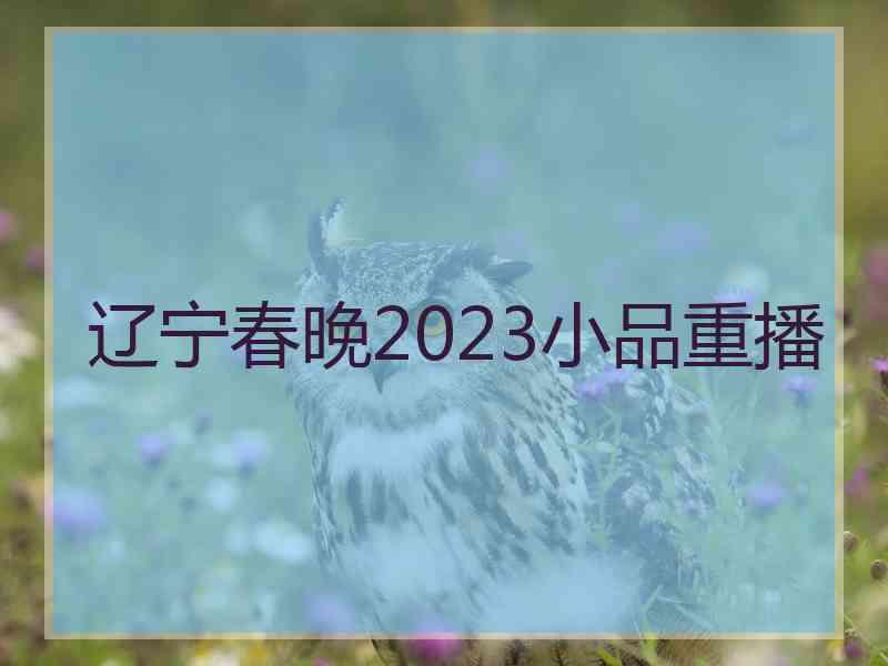 辽宁春晚2023小品重播