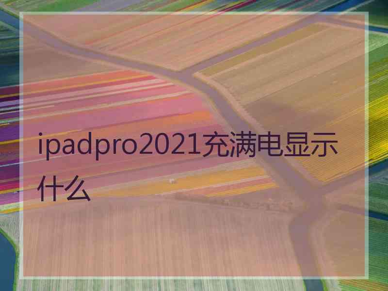 ipadpro2021充满电显示什么