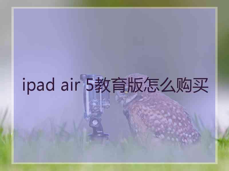 ipad air 5教育版怎么购买